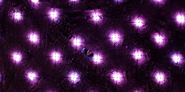 240301.4 Carrusel 16