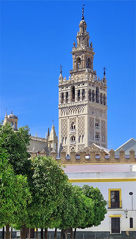 Fotografía Sevilla