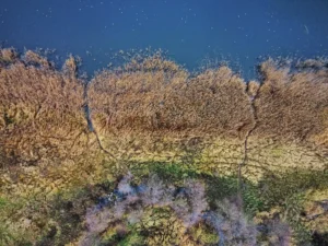 LiDAR vs Fotogrametría: ¿En qué se diferencian y cuál es mejor?